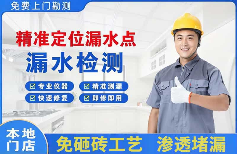 海棠精准测漏点