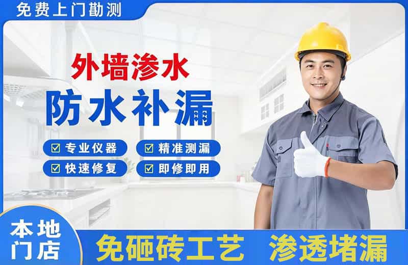 海棠外墙渗水维修